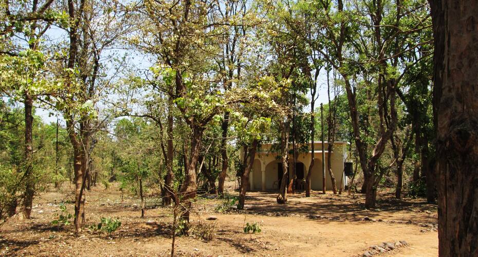 Kum Kum Home, Bandhavgarh 2